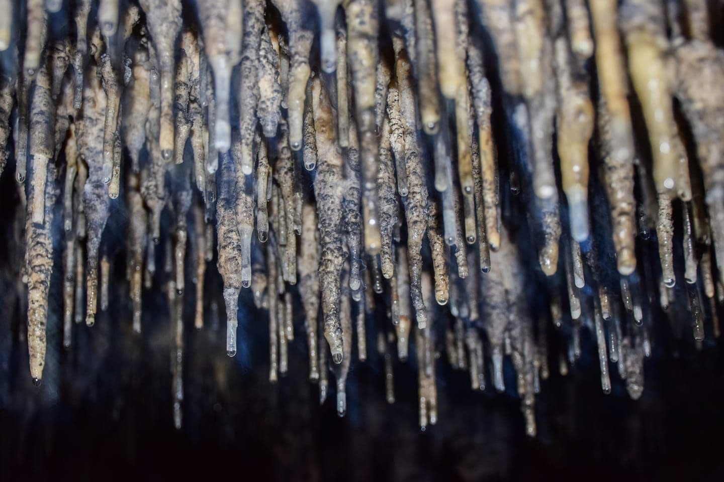 Nadarska Cave, the Kiselchovo Waterfalls & Gorlo Canyon 2