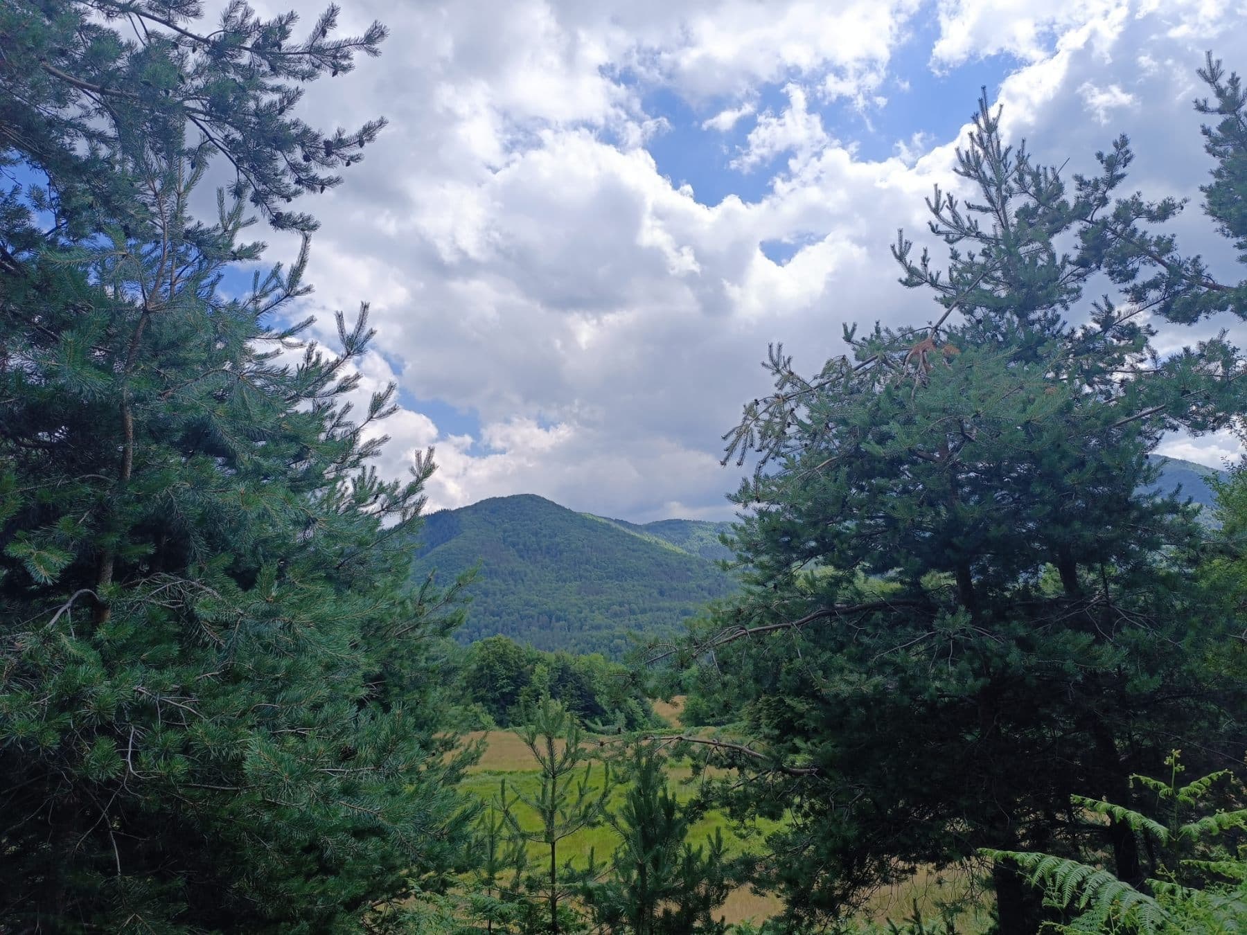 How to Get to the Rhodope Mountains: A Practical Guide to Mogilitsa