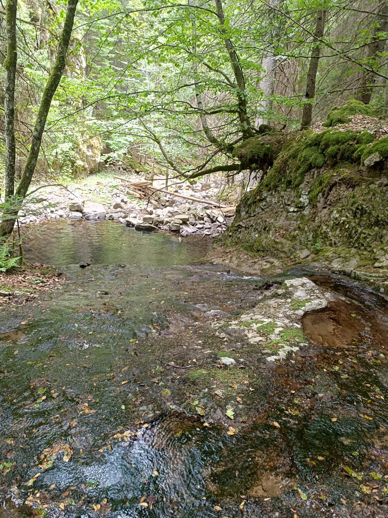 Where to Disconnect: A Digital Detox in the Rhodope Mountains