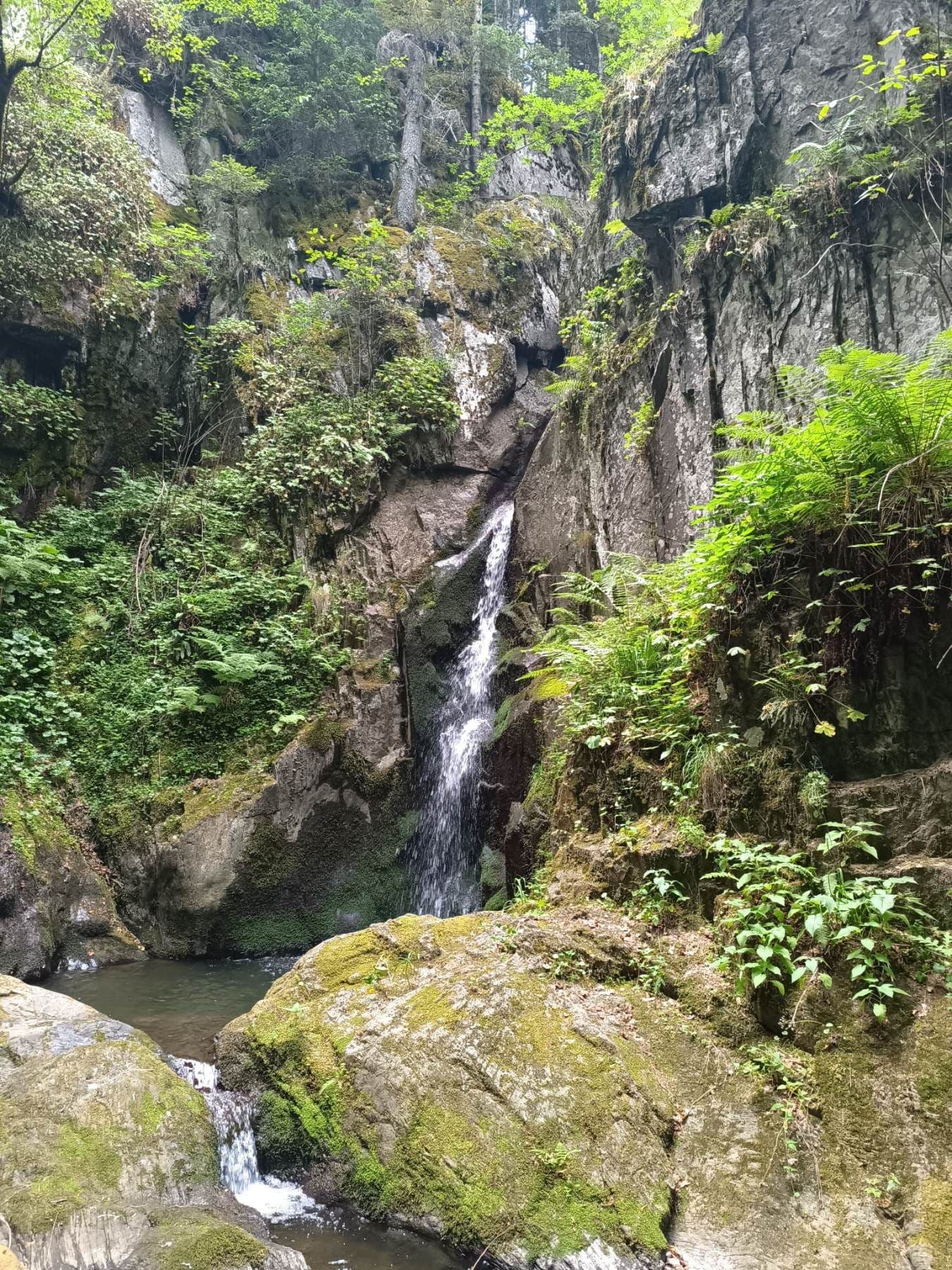 The Best Time to Visit the Rhodope Mountains: A Season-by-Season Guide
