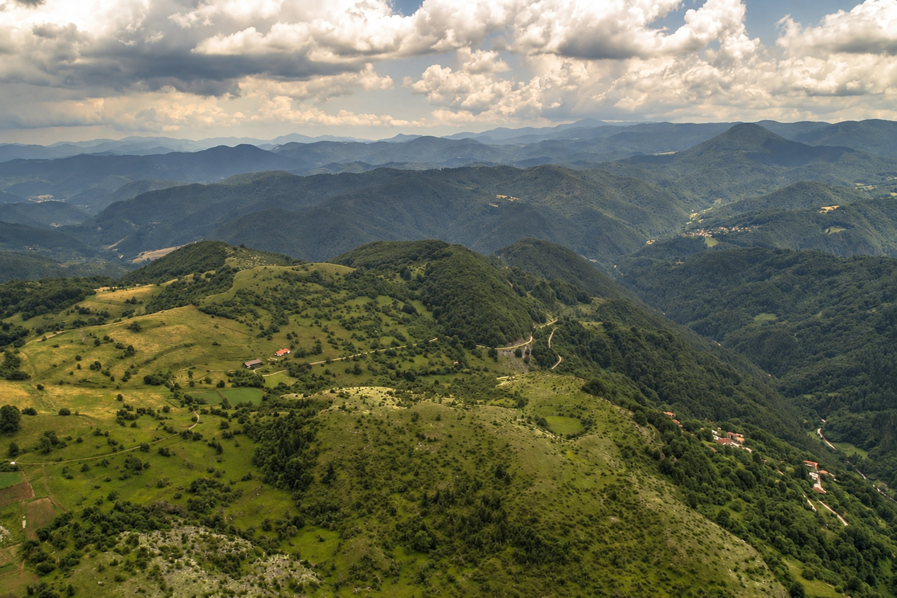 Forested ridges of the Upper Arda valley in the Rhodope Mountains