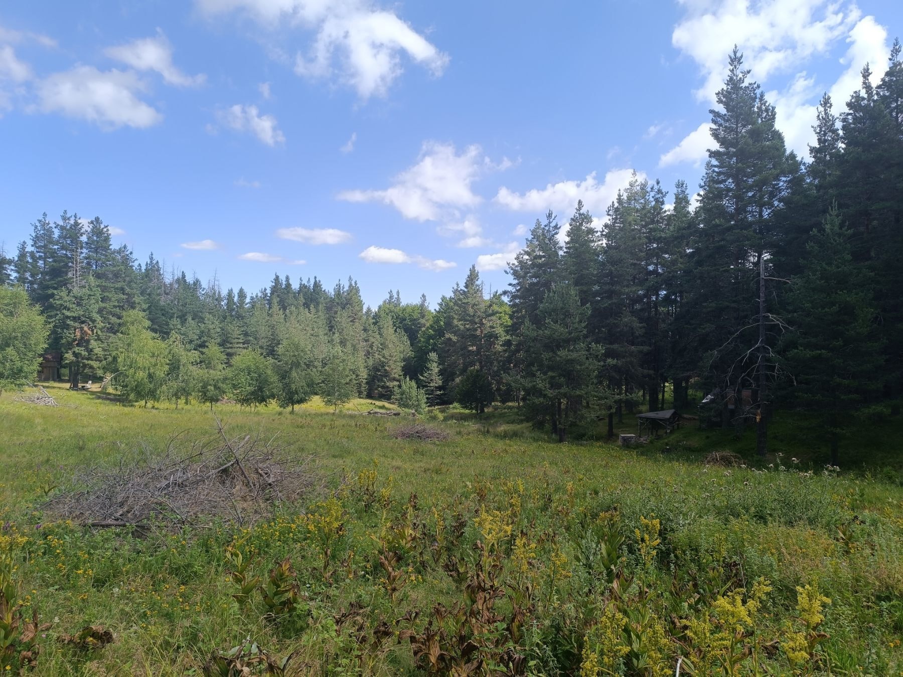 Where to Go on Holiday If You Are Not Sure: One Rhodope Village, Five Kinds of Trip