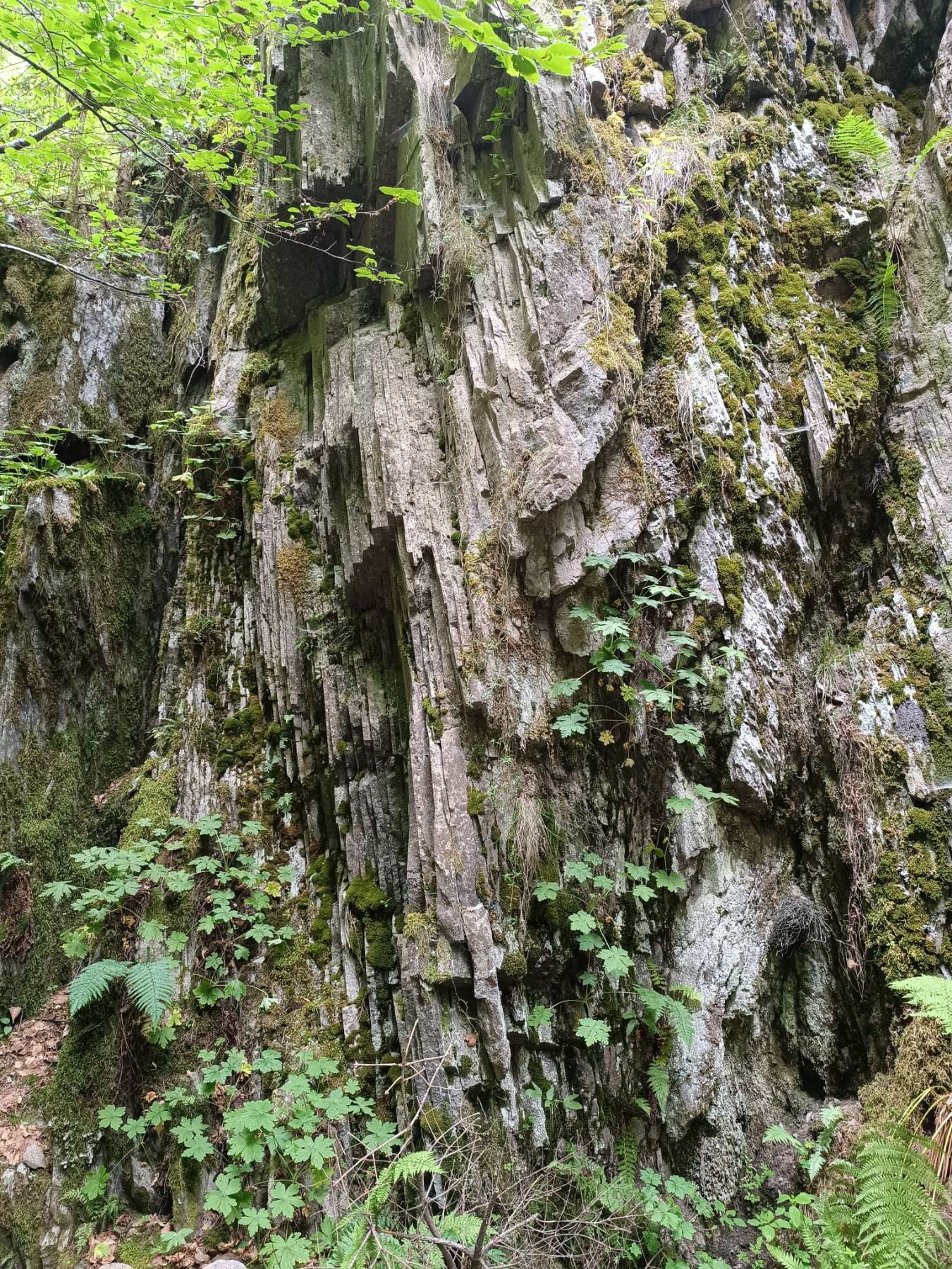 Off the Beaten Path Hiking in Bulgaria: The Upper Arda Valley