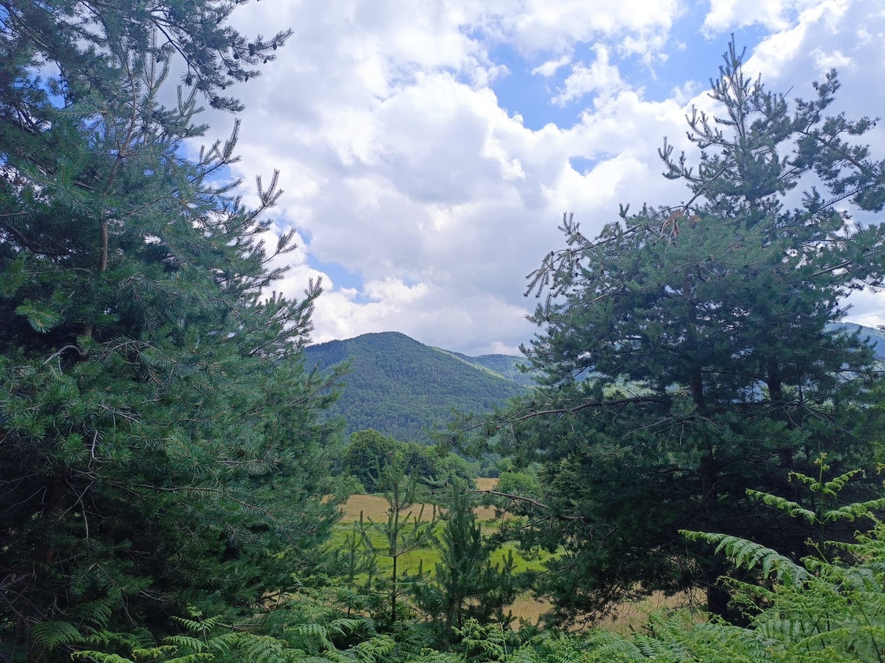 The Rhodope Mountains: Europe's Best-Kept Secret